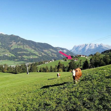 Landhaus Voetter Sankt Johann im Pongau Bagian luar foto